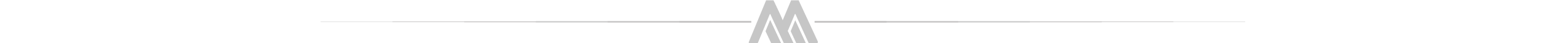 Divider-Grey-Montefarmaco-icon